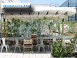 SOHOLM CAFE 湘南店 SOHOLM CAFE 湘南店